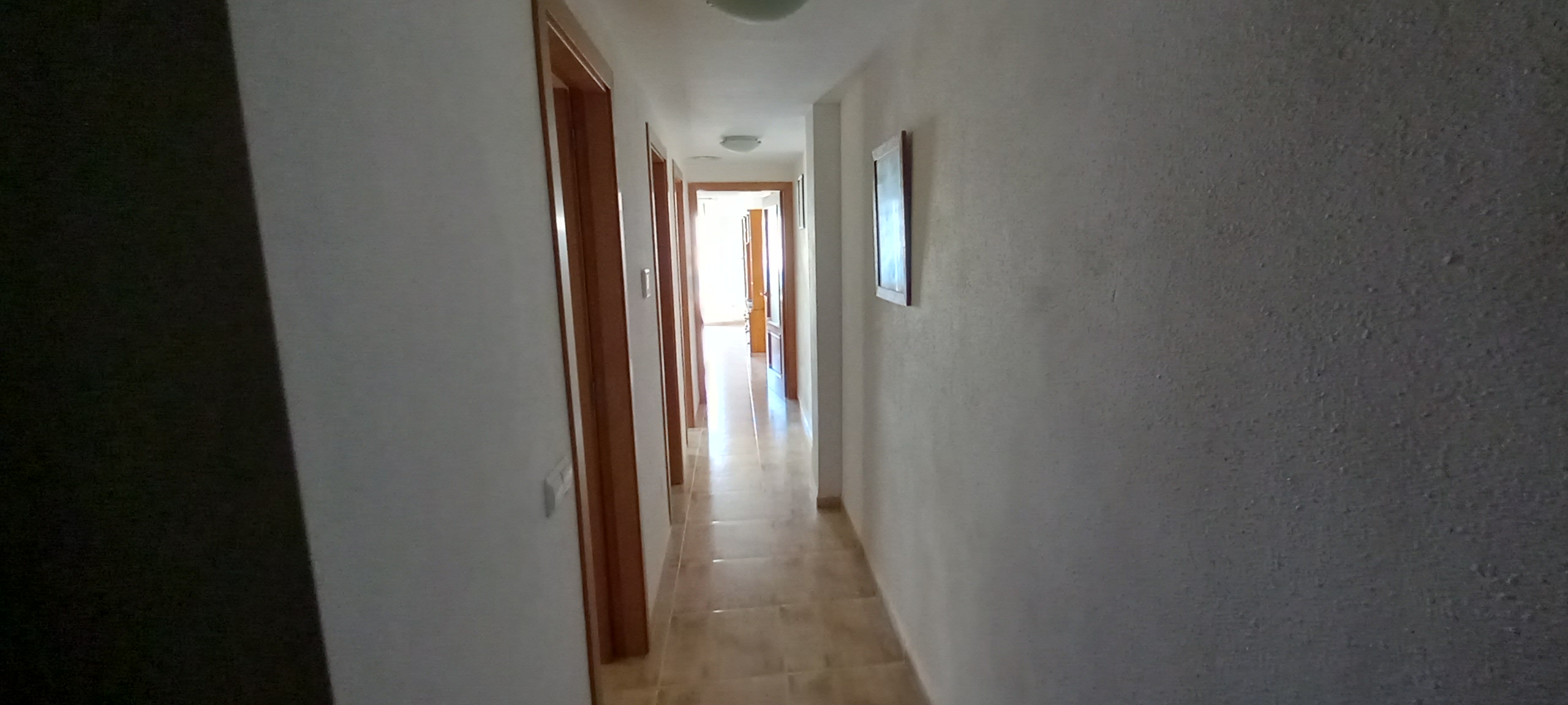 Blasco ibañez 4D