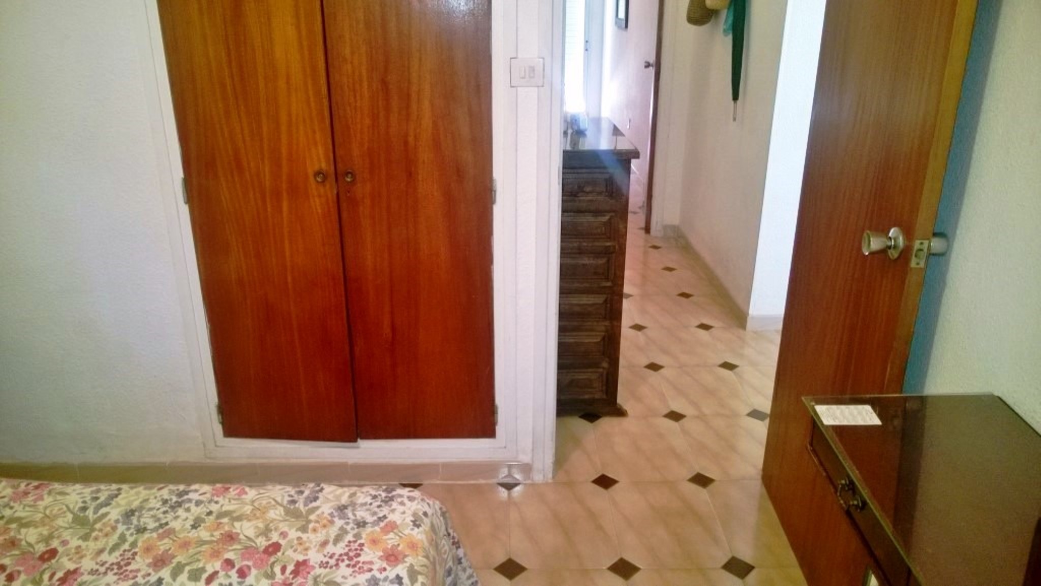 Torrehirta84C